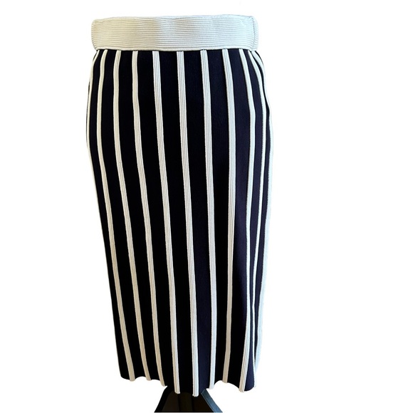 Ann Taylor Petite Midnight Blue Striped Skirt. Size M/P - Picture 1 of 5